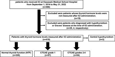 Immune checkpoint inhibitor-induced hypothyroidism predicts treatment response in Japanese subjects